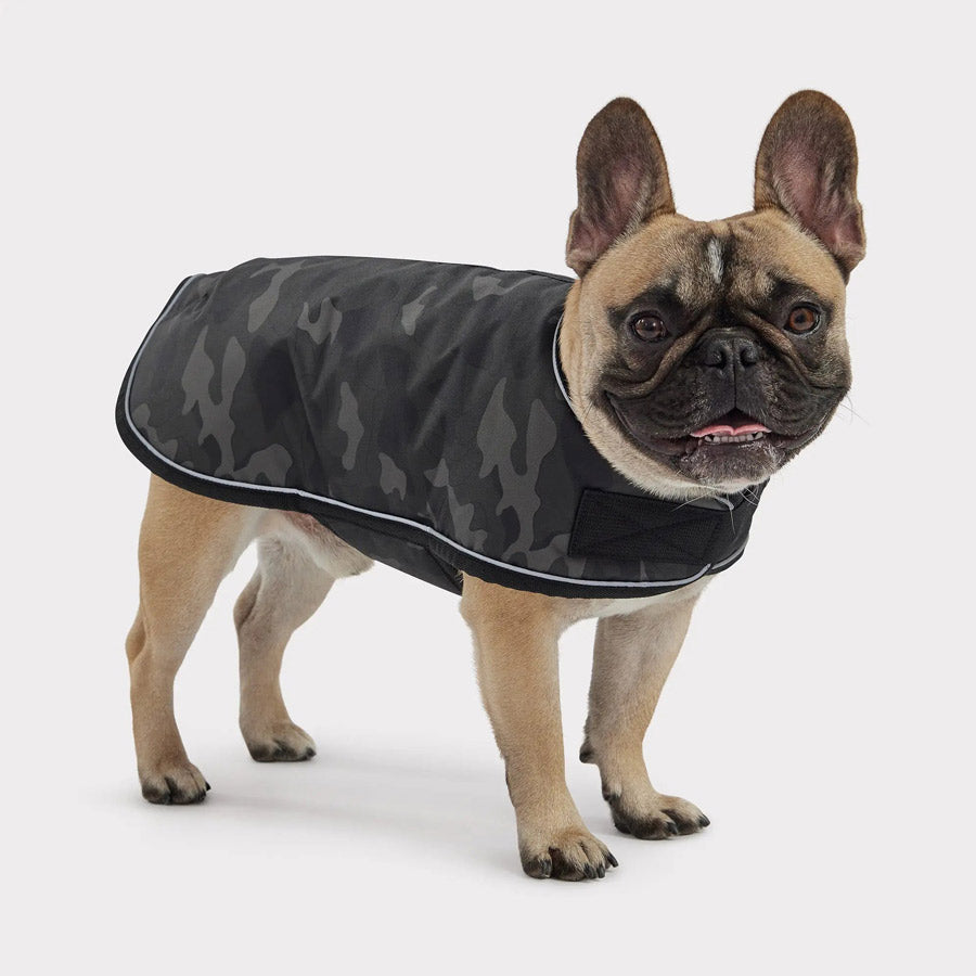 Blanket Dog Jacket by GF PET DS