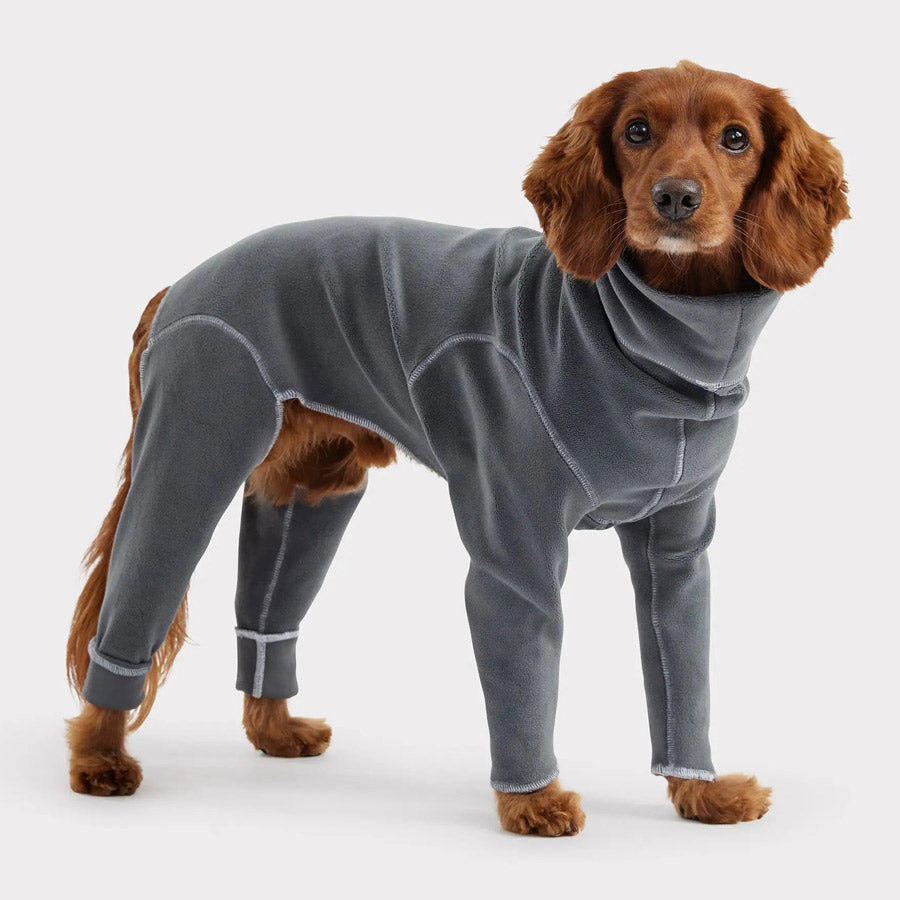 Gondola Dog Onesie by GF PET DS (Grey)