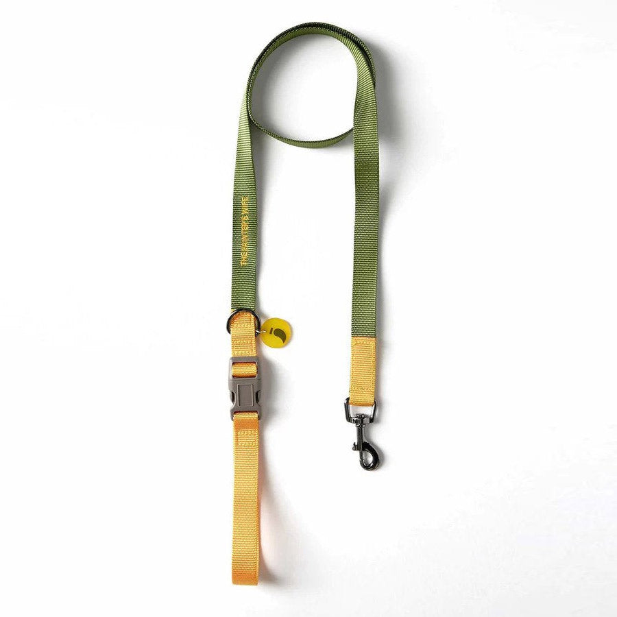 SONIA LEASH by THE PAINTER'S WIFE (YELLOW AND FOREST GREEN)