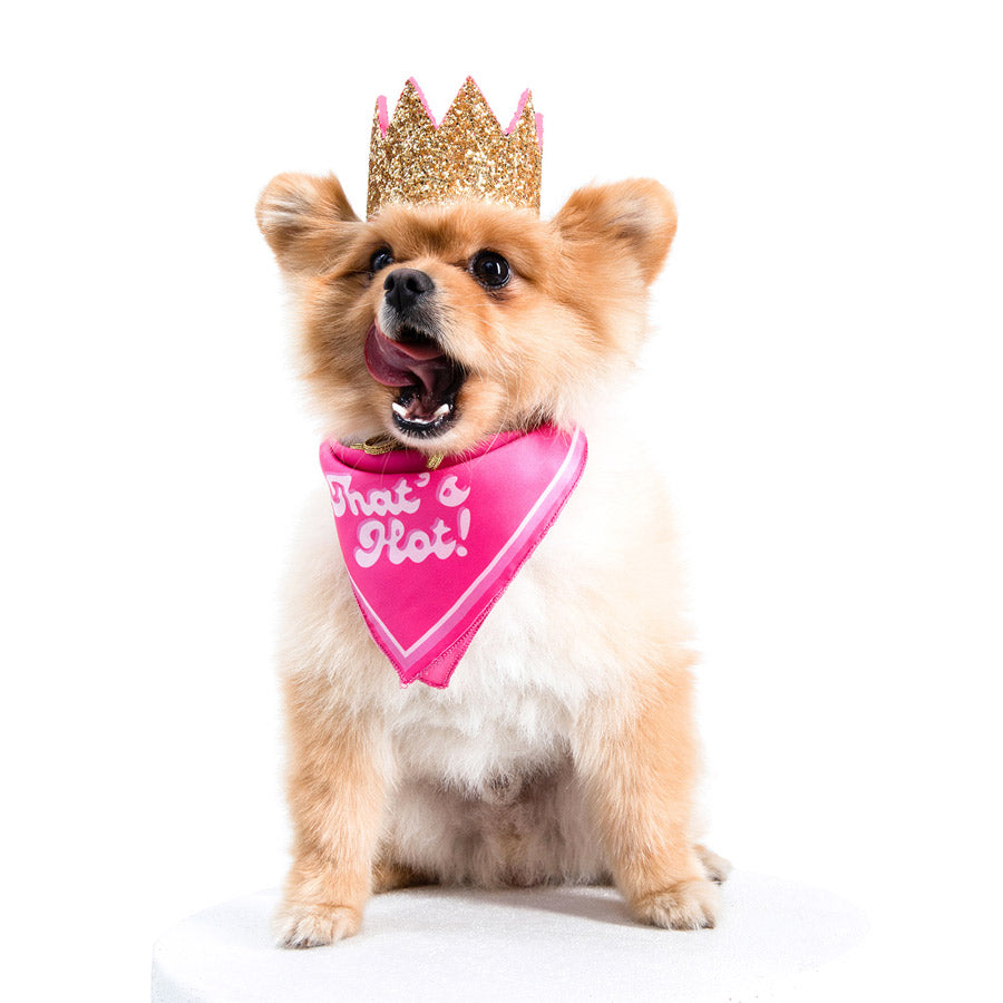 THAT'S HOT! DOG BANDANA by MOSHIQA DS (PINK)
