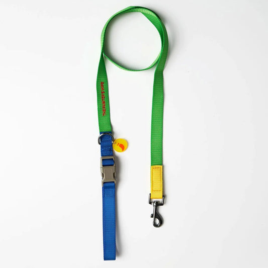 SONIA LEASH by THE PAINTER'S WIFE (YELLOW AND GREEN)