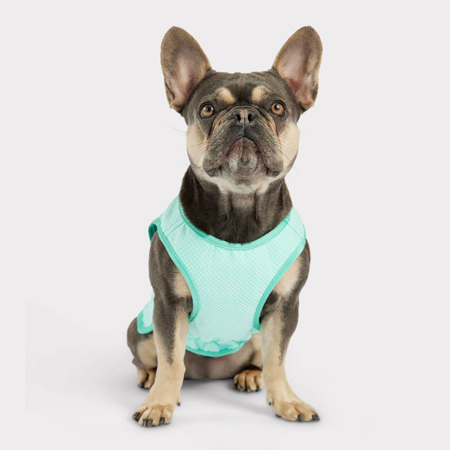 Dog Cooling Vest by GF PET DA