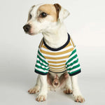 Load image into Gallery viewer, DAVID ORGANIC COTTON DOG T-SHIRT by THE PAINTER&#39;S WIFE (GREEN AND YELLOW STRIPED)
