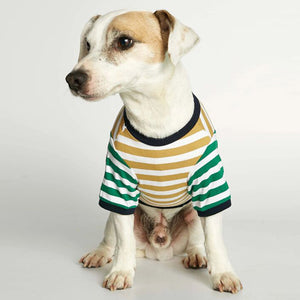 DAVID ORGANIC COTTON DOG T-SHIRT by THE PAINTER'S WIFE (GREEN AND YELLOW STRIPED)