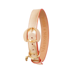 Golden Dog Collar of Loyalty By Moshiqa DS