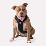 Load image into Gallery viewer, Dog Travel Harness By GFPET
