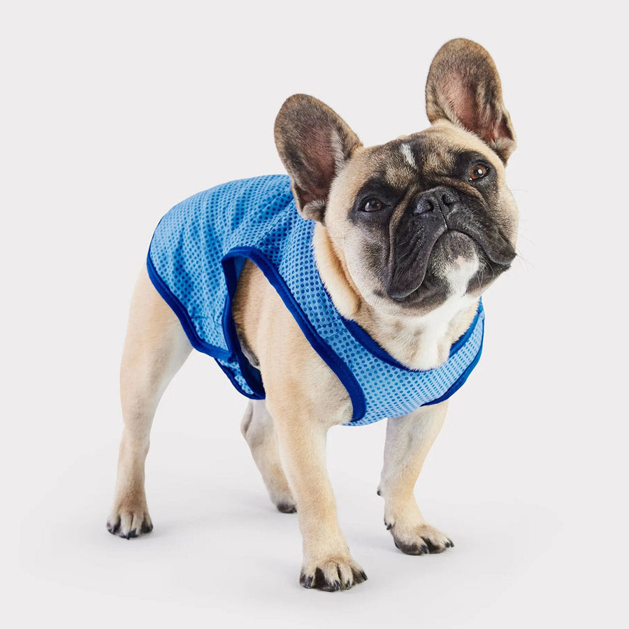 Dog Cooling Vest by GF PET DA