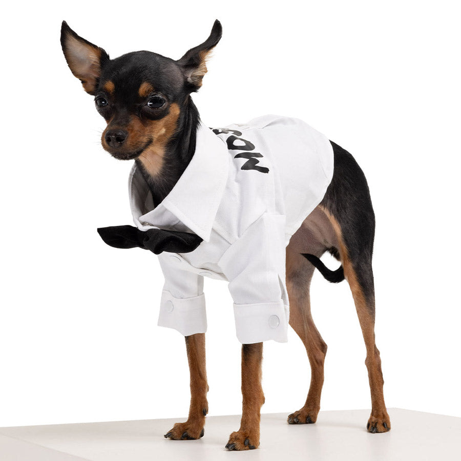 GROOM DOG SHIRT by MOSHIQA DS (WHITE)