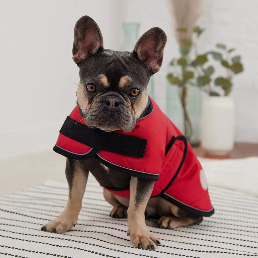 Blanket Dog Jacket by GF PET DS