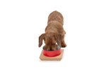 Load image into Gallery viewer, BOWL SET by POLDO DOG COUTURE

