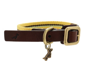 Crema Collar by POLDO DOG COUTURE DS (YELLOW )