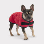 Load image into Gallery viewer, Blanket Dog Jacket by GF PET DS
