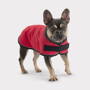 Blanket Dog Jacket by GF PET DS