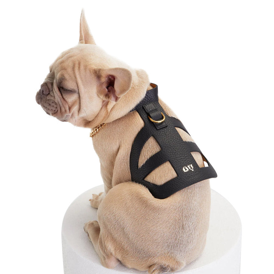 Pierre Dog Harness By Moshiqa