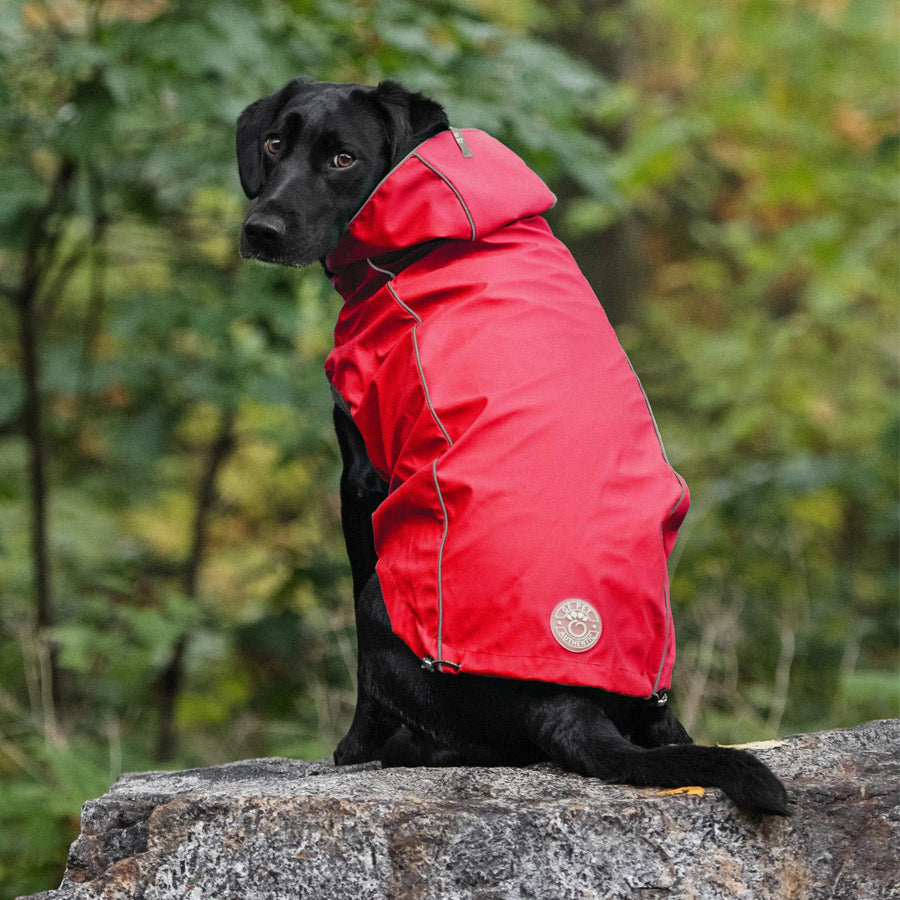 Reversible Dog Raincoat By GF PET DS