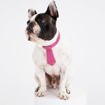 Load image into Gallery viewer, DOG TIE by MOSHIQA DS (PINK)
