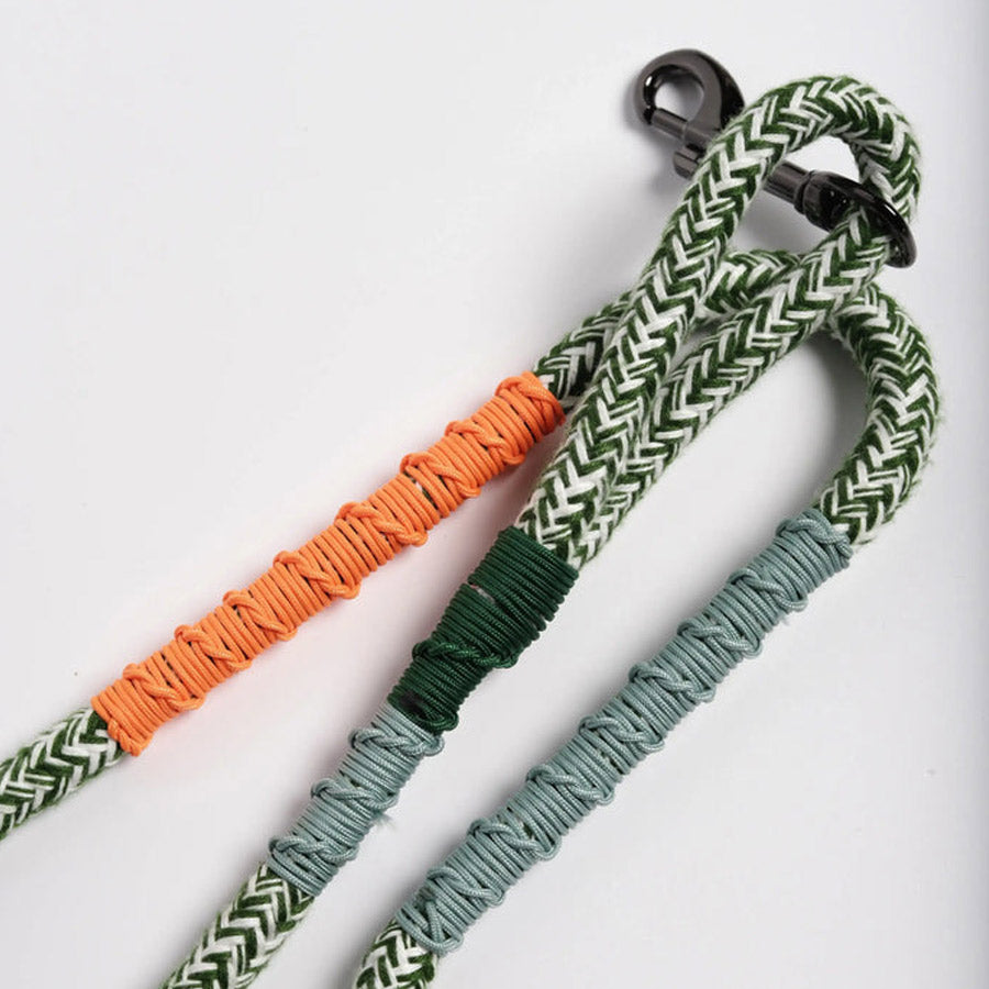 CORME CLASSIC DOG LEASH by THE PAINTER'S WIFE (GREEN)