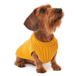 Sweater by POLDO DOG COUTURE DS (ORGANE )