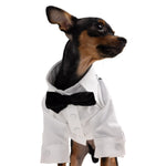 Load image into Gallery viewer, GROOM DOG SHIRT by MOSHIQA DS (WHITE)
