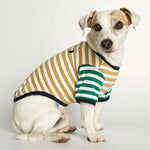 Load image into Gallery viewer, DAVID ORGANIC COTTON DOG T-SHIRT by THE PAINTER&#39;S WIFE (GREEN AND YELLOW STRIPED)
