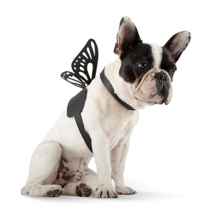 Butterfly Effect Dog Harness By Moshiqa DS