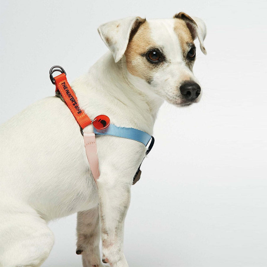 SONIA HARNESS By THE PAINTER'S WIFE (RED AND PINK)