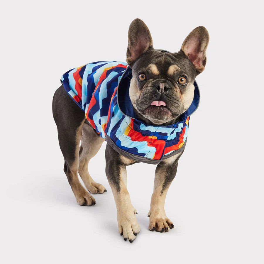 Reversible Dog Raincoat By GF PET DS