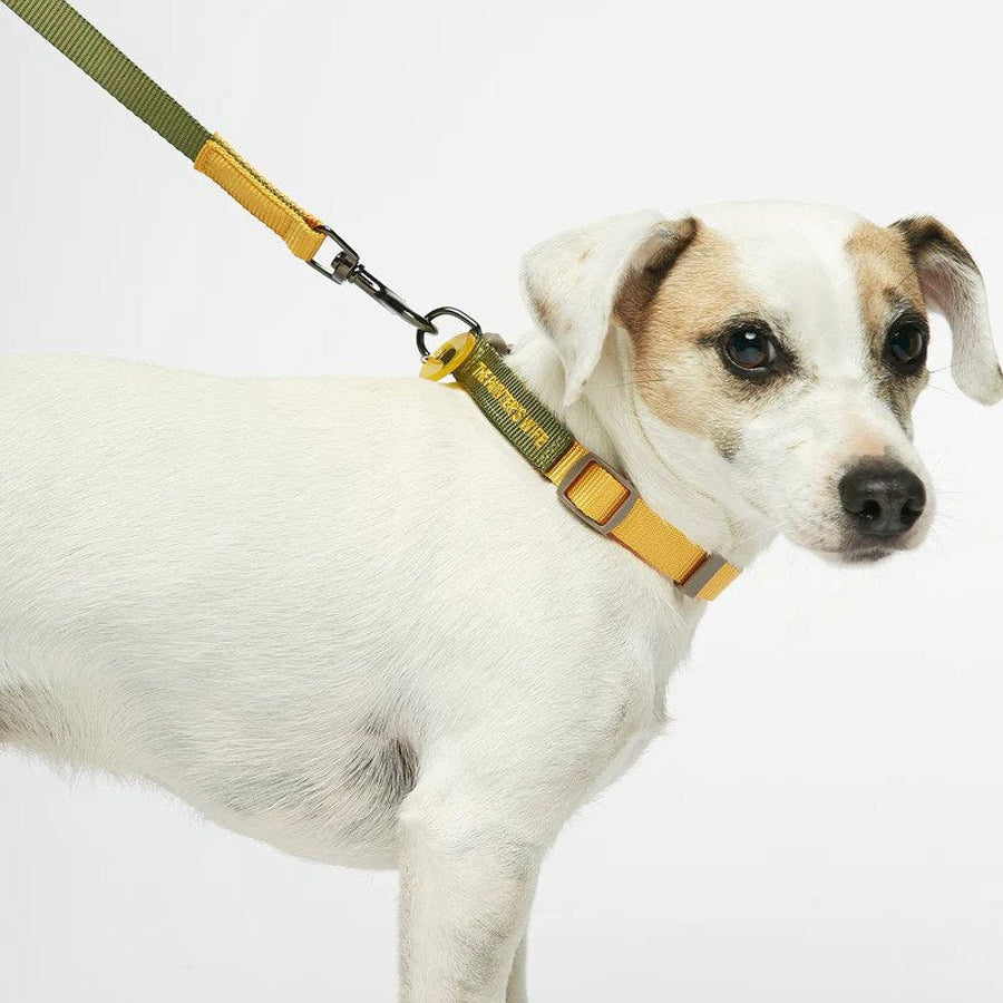 SONIA LEASH by THE PAINTER'S WIFE (YELLOW AND FOREST GREEN)