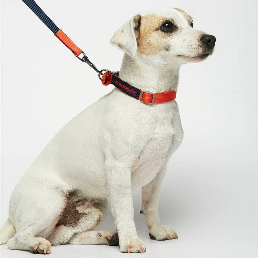 SONIA LEASH by THE PAINTER'S WIFE (RED AND NAVY BLUE)