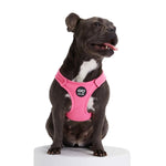 Load image into Gallery viewer, Bonbon Dog Harness By Moshiqa DS
