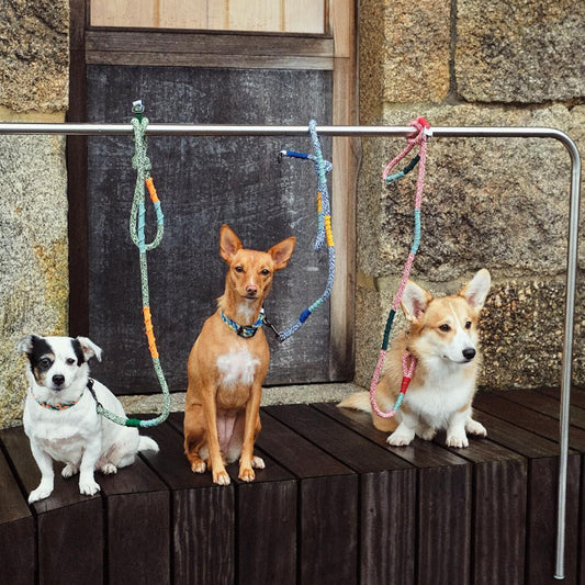 CORME CLASSIC DOG LEASH by THE PAINTER'S WIFE (BLUE)