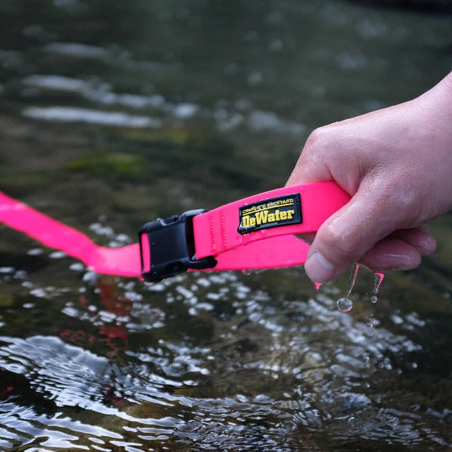 DEWATER LEASH by CHARLIE'S BACKYARD WS (PINK)