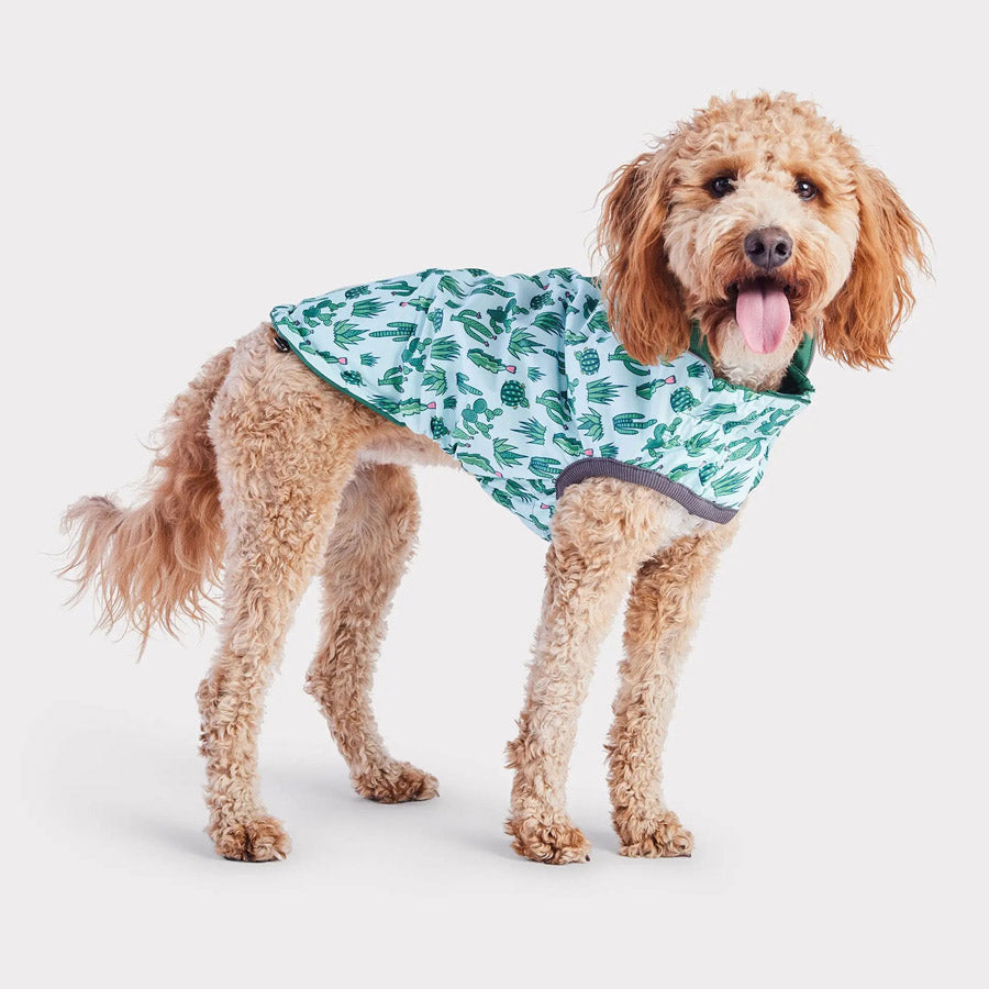 Reversible Dog Raincoat By GF PET DS