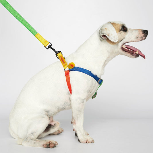 SONIA HARNESS by THE PAINTER'S WIFE (YELLOW AND GREEN)