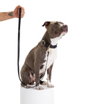 Load image into Gallery viewer, Balley Dog Leash By Moshiqa
