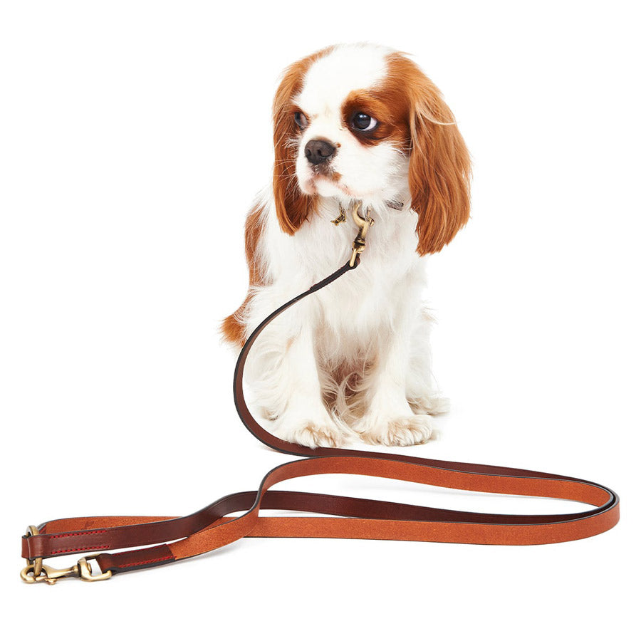 Shoulder Leash by POLDO DOG COUTURE DS (BROWN )