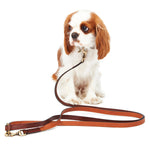 Load image into Gallery viewer, Shoulder Leash by POLDO DOG COUTURE DS (BROWN )
