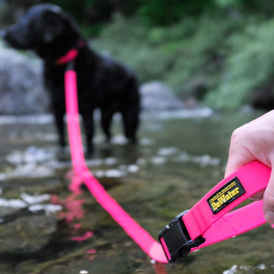 DEWATER LEASH by CHARLIE'S BACKYARD WS (PINK)