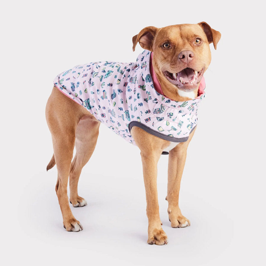 Reversible Dog Raincoat By GF PET DS