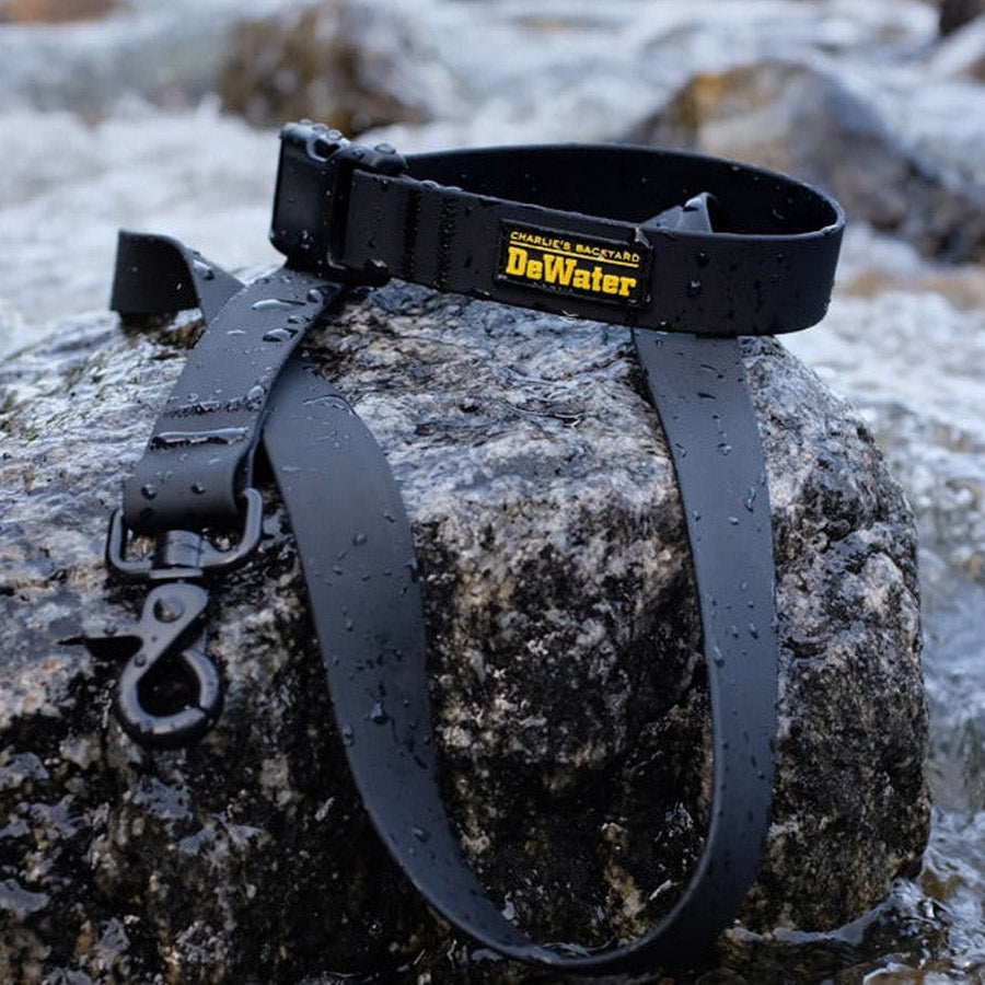 DEWATER LEASH by CHARLIE'S BACKYARD WS (BLACK)