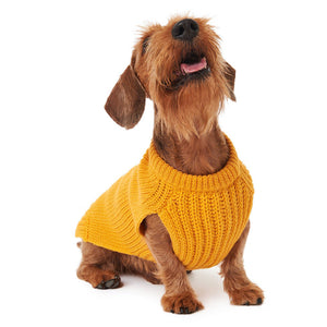 Sweater by POLDO DOG COUTURE DS (ORGANE )