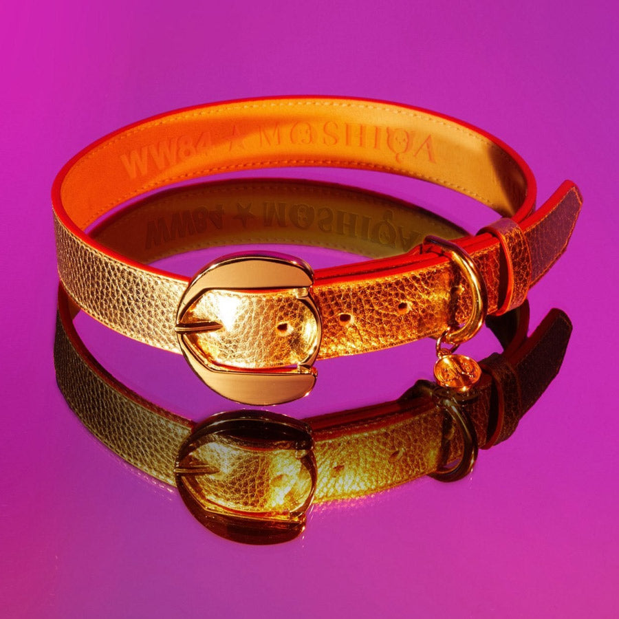 Golden Dog Collar of Loyalty By Moshiqa DS