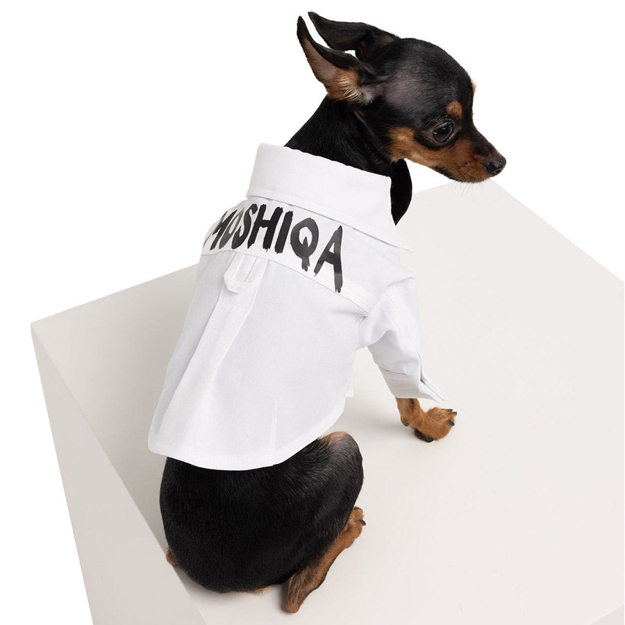 GROOM DOG SHIRT by MOSHIQA DS (WHITE)