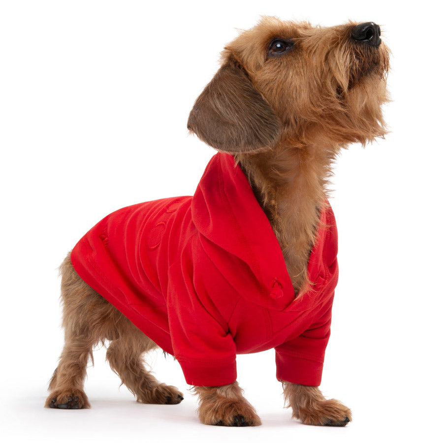 Pop Fleece by POLDO DOG COUTURE DS (RED )