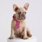 Load image into Gallery viewer, DOG TIE by MOSHIQA DS (PINK)
