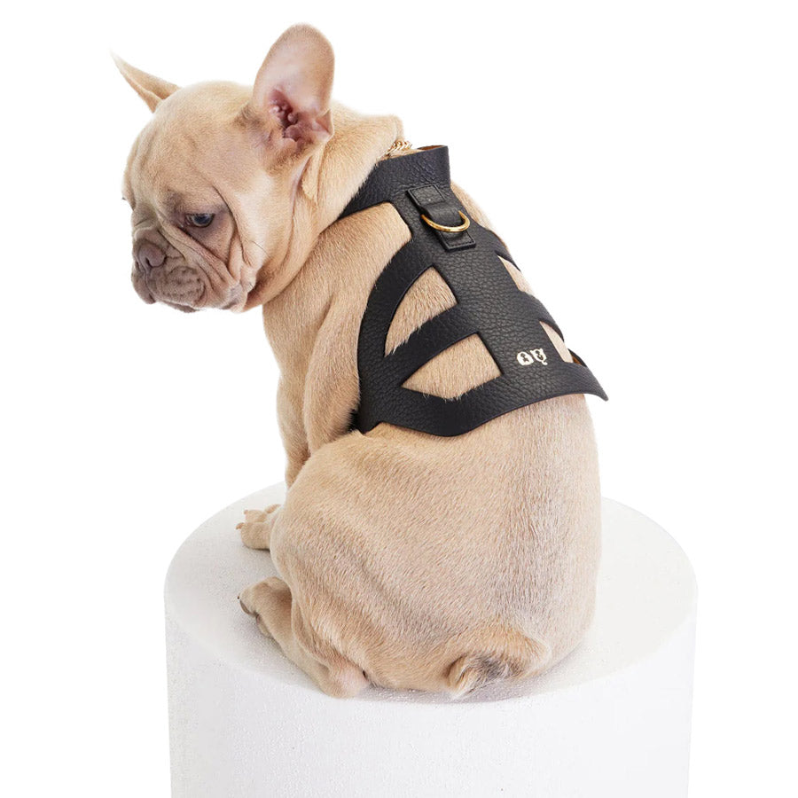 Pierre Dog Harness By Moshiqa