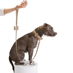 Load image into Gallery viewer, Bisou Dog Leash By Moshiqa
