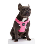 Load image into Gallery viewer, Bonbon Dog Harness By Moshiqa DS
