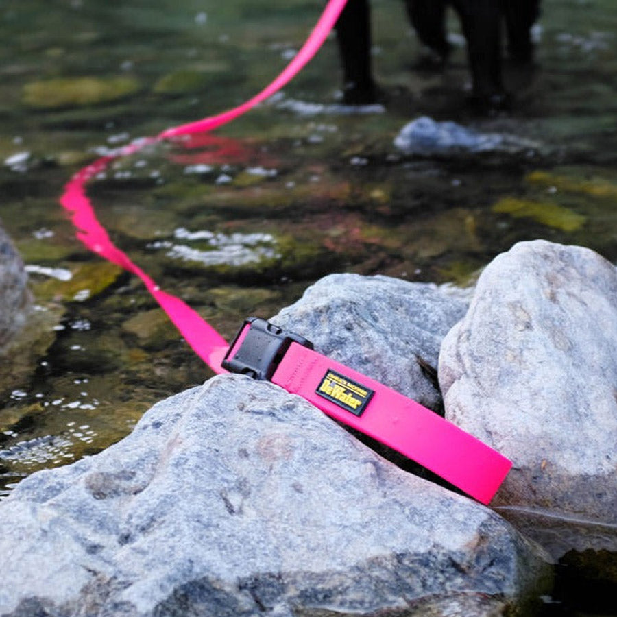 DEWATER LEASH by CHARLIE'S BACKYARD WS (PINK)