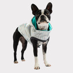 Load image into Gallery viewer, Reversible Dog Raincoat By GF PET DS
